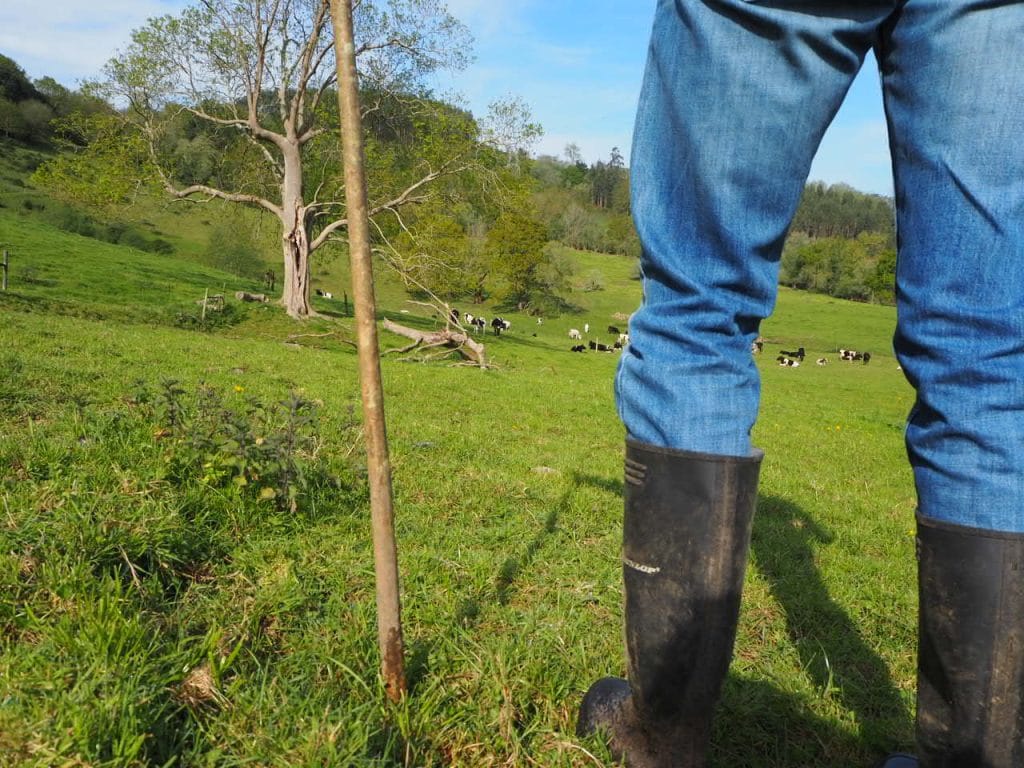 relacion entre paisaje y alimentacion