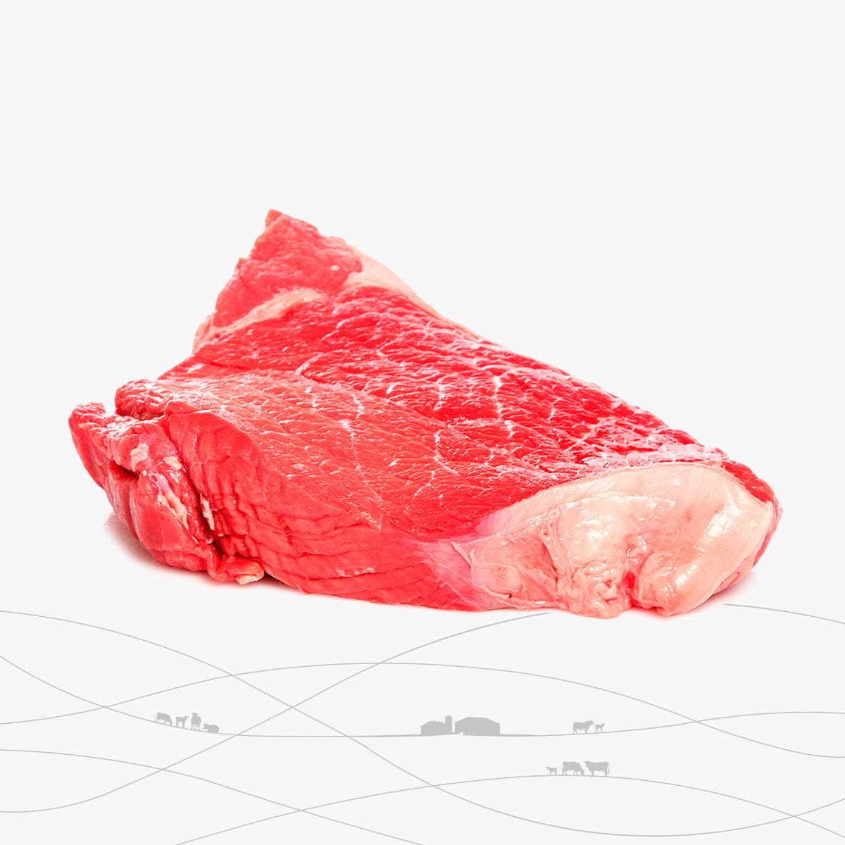 Zancarrón morcillo o jarrete de añojo